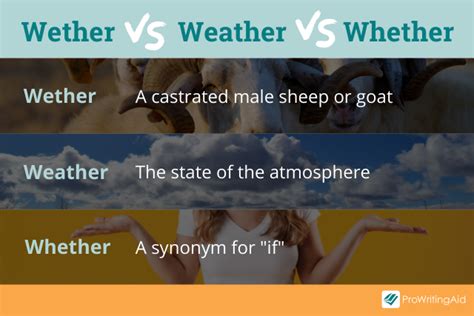 weather whether|weather you are right or wrong.